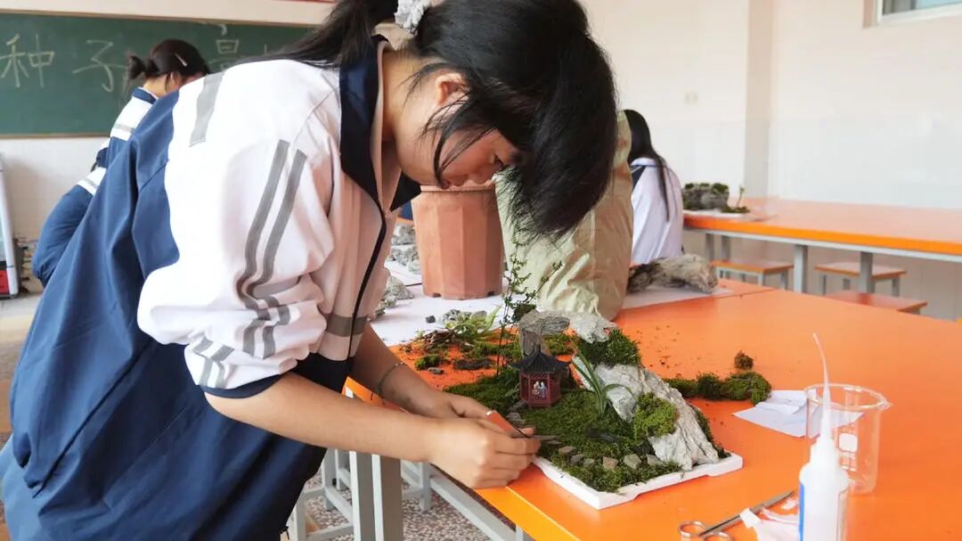 以赛促学强技能 桑植县职业中等专业学校第十五届校园技能节精彩纷呈