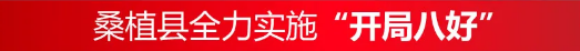 桑植县全力实施“开局八好”