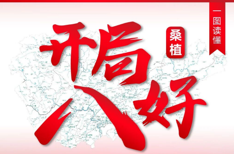 一图读懂丨桑植县全力实施“开局八好”