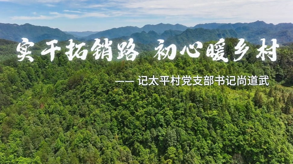 党建好声音 | 乡村振兴书记说：从3单到50万元，一名村支书的“出圈”之路