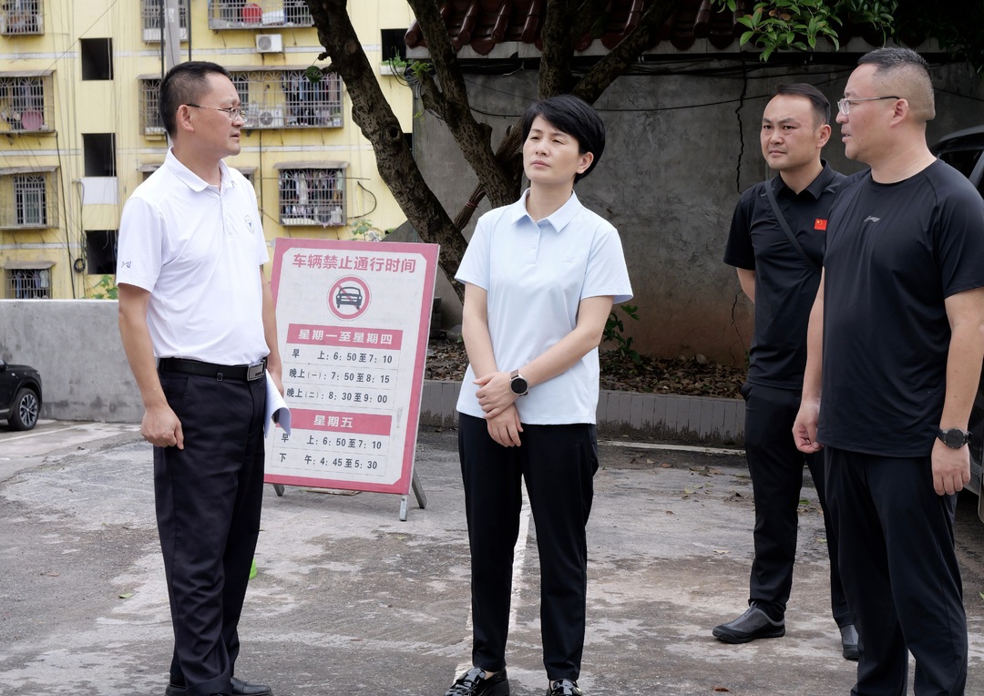 黄瑛调研城市危旧房改造和城市更新工作