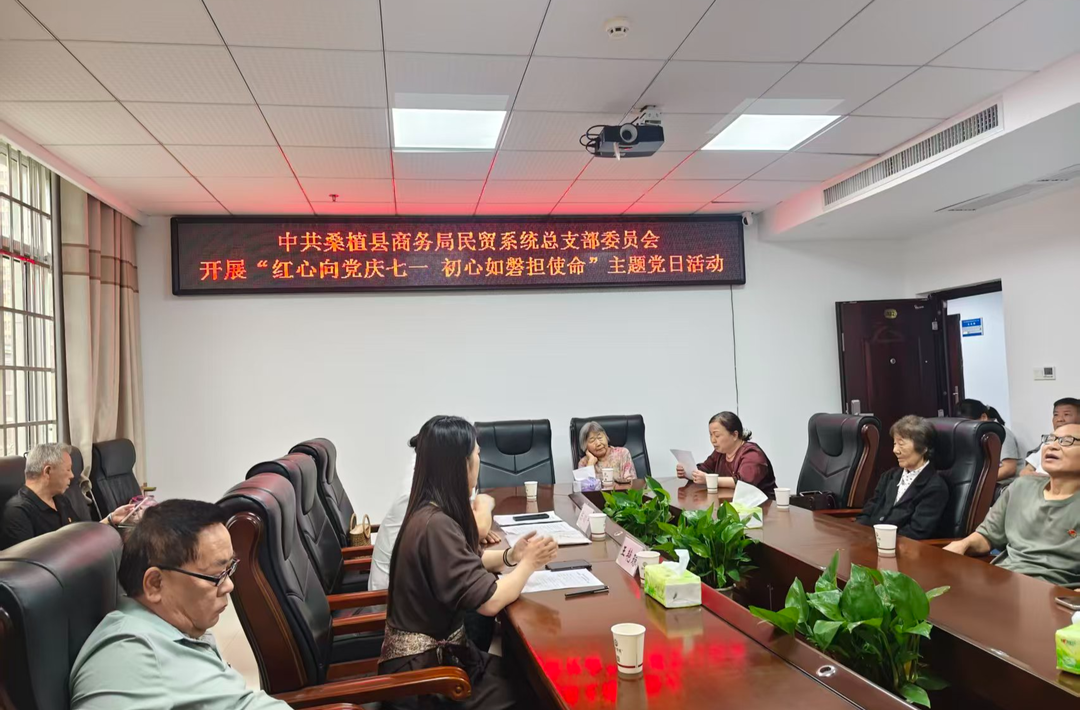 桑植县商务局开展“红心向党庆七一·初心如磐担使命”主题党日活动