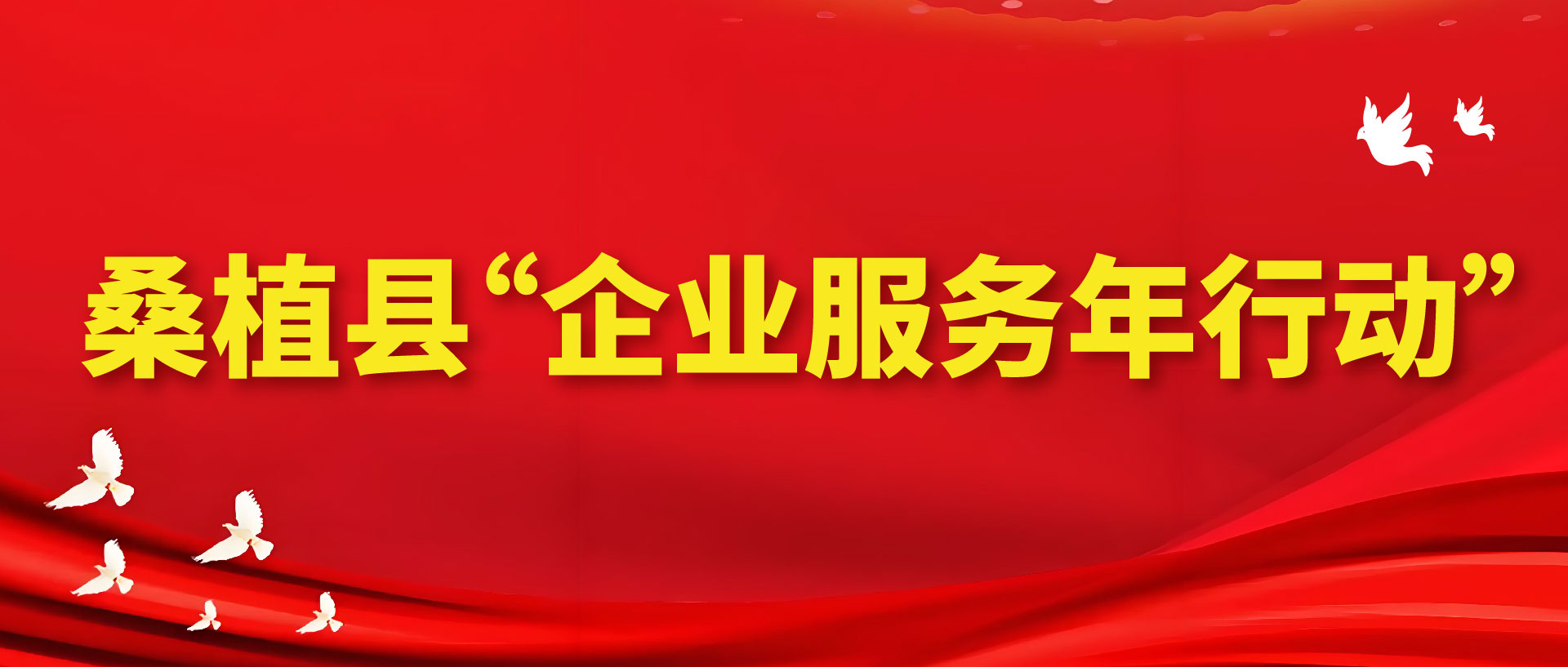 桑植县“企业服务年行动”