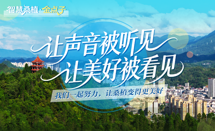 收官！“智汇桑植”广纳民智聚合力 千条“金点子”赋能桑植高质量发展