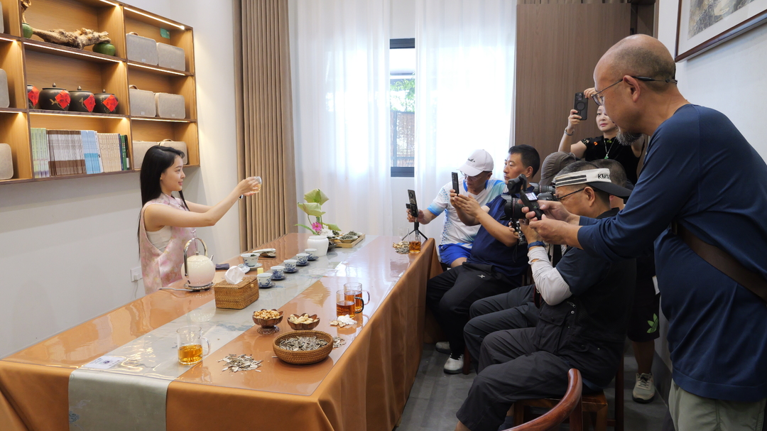 文艺赋能茶产业 桑植白茶主题采风活动举行