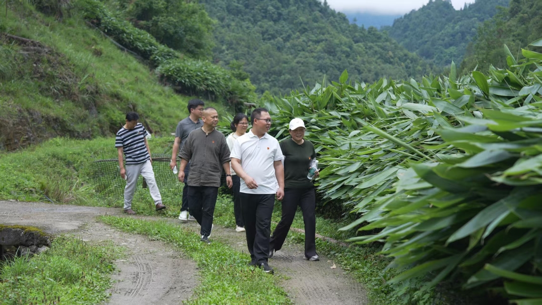先锋如炬丨陈磊磊：党旗下坚守“三心”的基层组工人