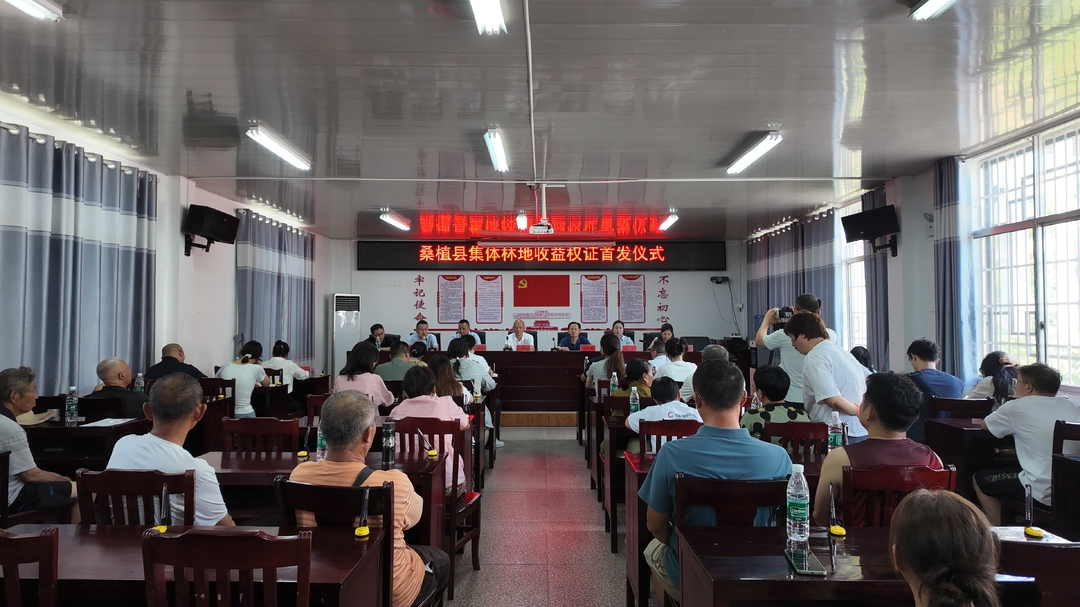 桑植县首批集体林地收益权证颁发