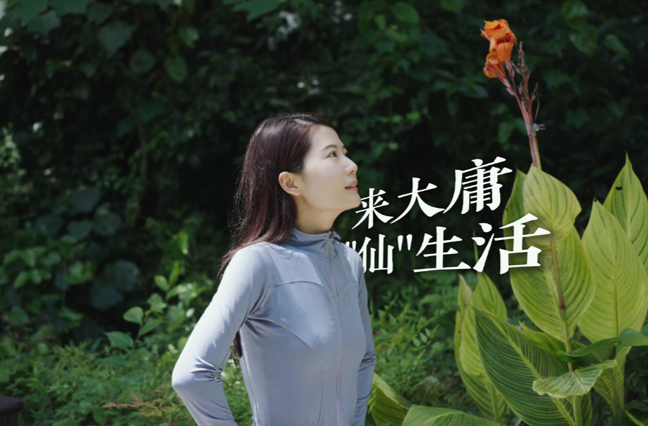 来大庸，“仙”生活
