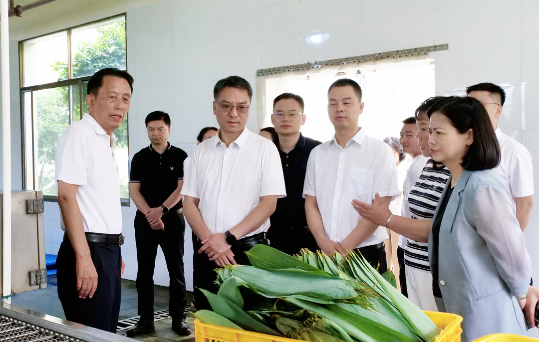 马碧带队来桑植调研清欠、工业经济运行及产业发展工作