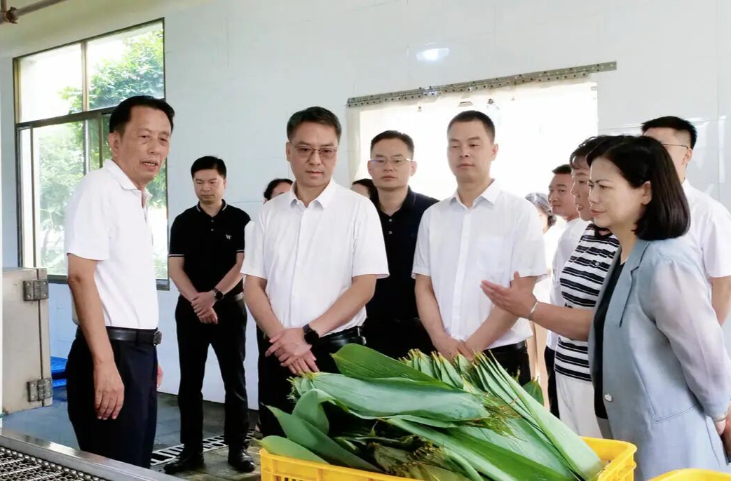 马碧带队来桑植调研清欠、工业经济运行及产业发展工作