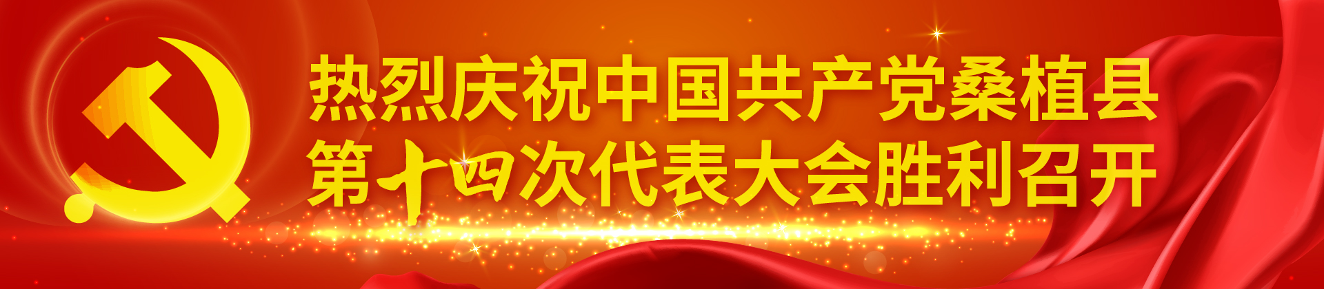 聚焦党代会