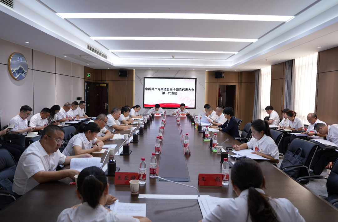 聚焦党代会丨党代表热议大会报告