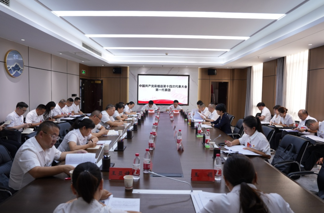 聚焦党代会丨党代表热议大会报告