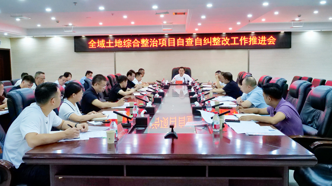 张冲主持召开专题会议 统筹调度自然资源、土地综合整治整改、新街水库及碳汇经济相关工作