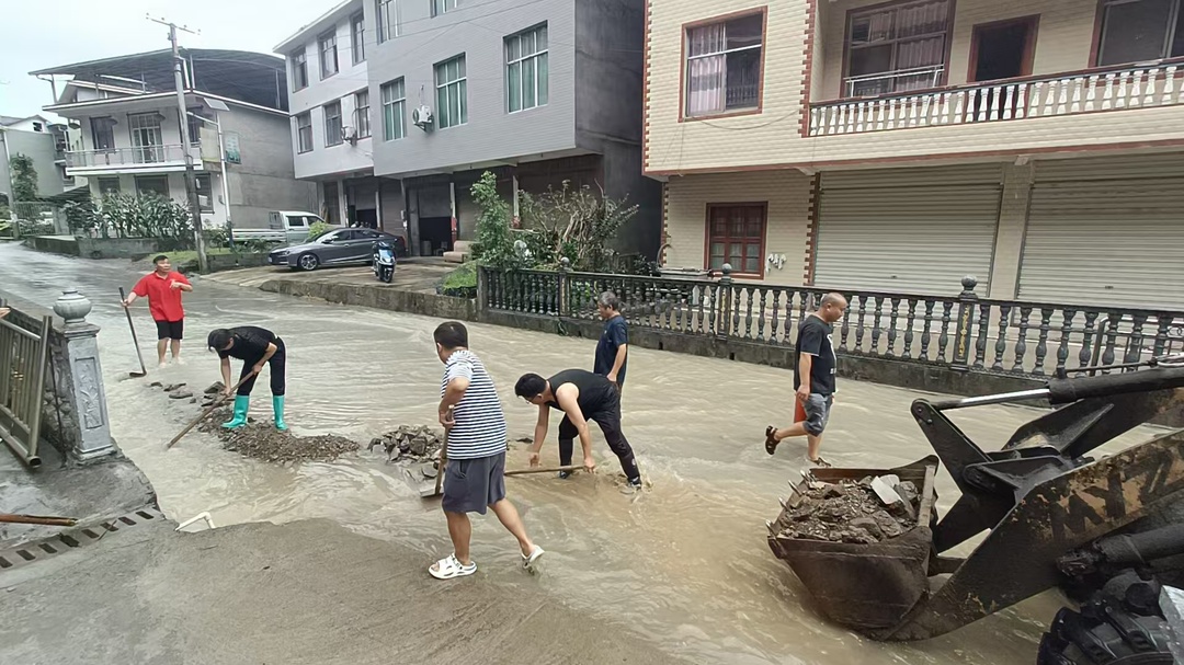 陈家河镇开展雨后环境整治和道路清障工作