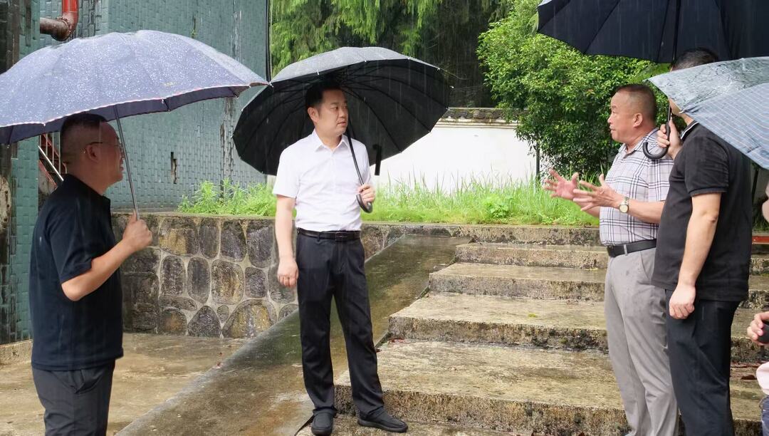 张冲开展“智汇桑植”意见建议专题调研