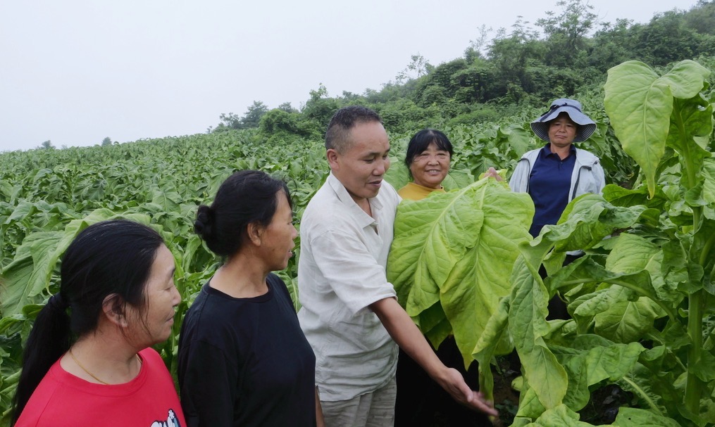 官地坪镇铜矿村：激活党群阵地 赋能产业增收