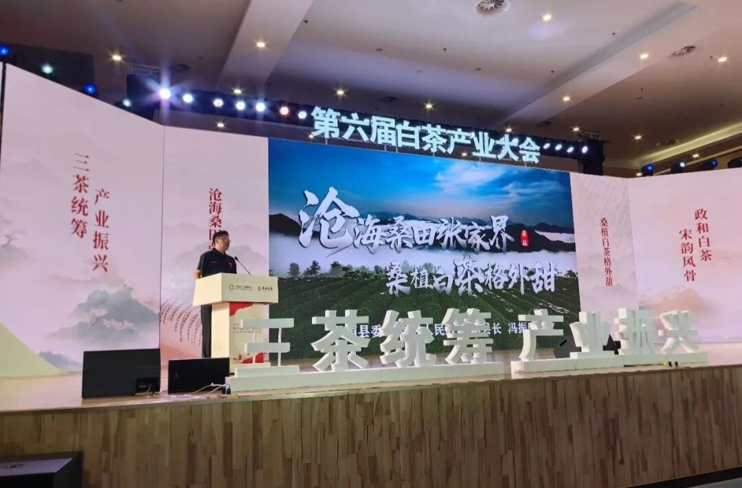 “桑植白茶格外甜”闪亮白茶产业大会