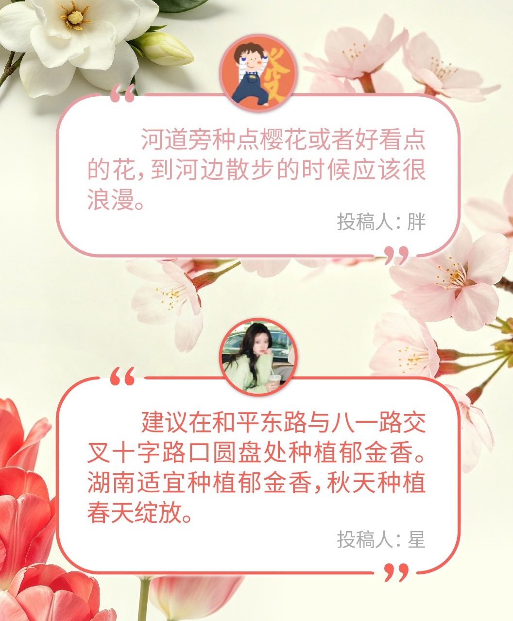 收官！197条民智汇花城 桑植“帅乡花城”网上意见征集活动圆满落幕