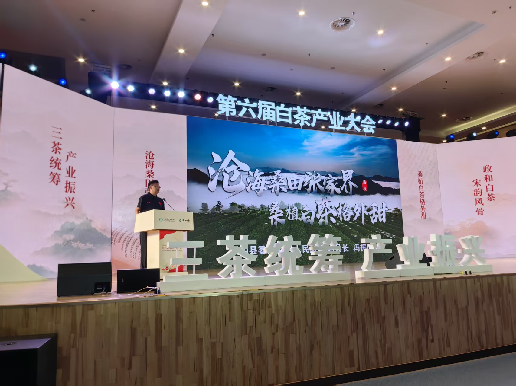 “桑植白茶格外甜”闪亮白茶产业大会