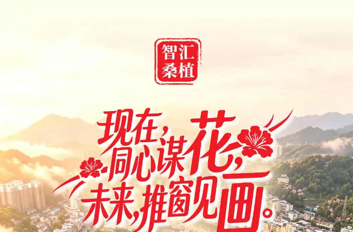 最后1天！速来建言！桑植“帅乡花城”意见征集即将截止