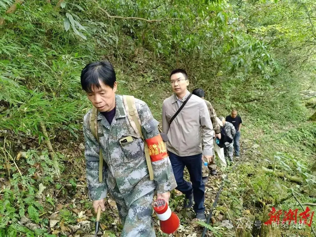 森保节特辑｜徐生科：“我护的不只是树，还有后人的根”