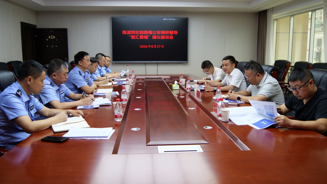 陈波调研督导“智汇桑植”网络平台意见建议办理情况