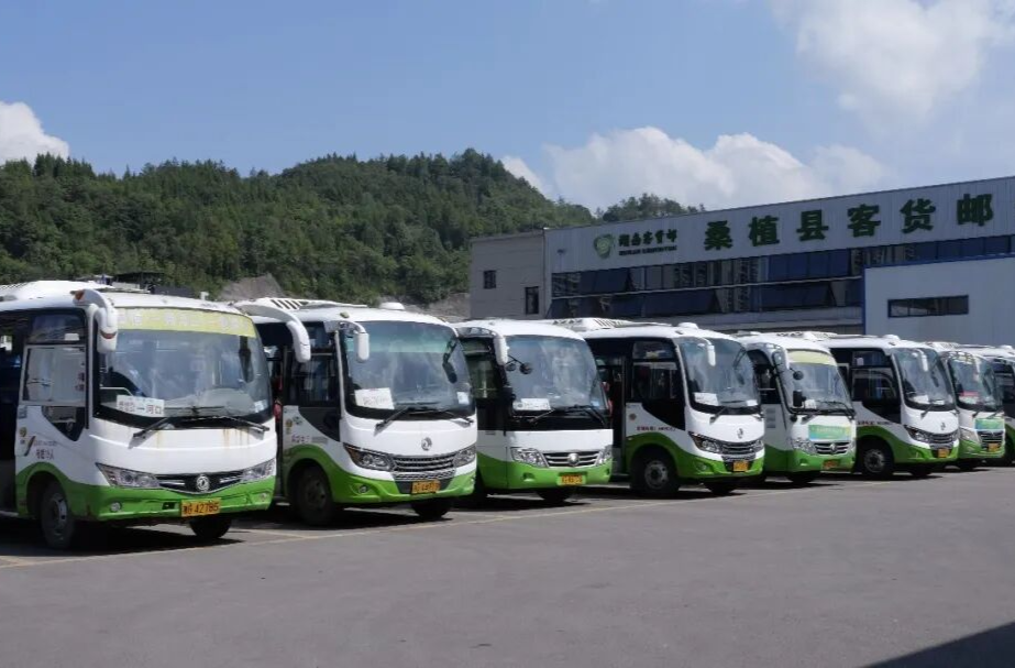 运力扩容、运营延时！桑植贴心护航开学出行