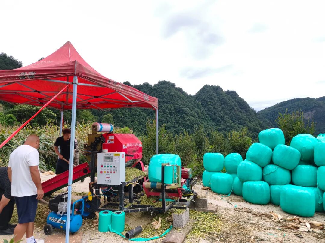 秸秆变废为宝 河口乡富溪村利用“村企联动”盘活秸秆资源