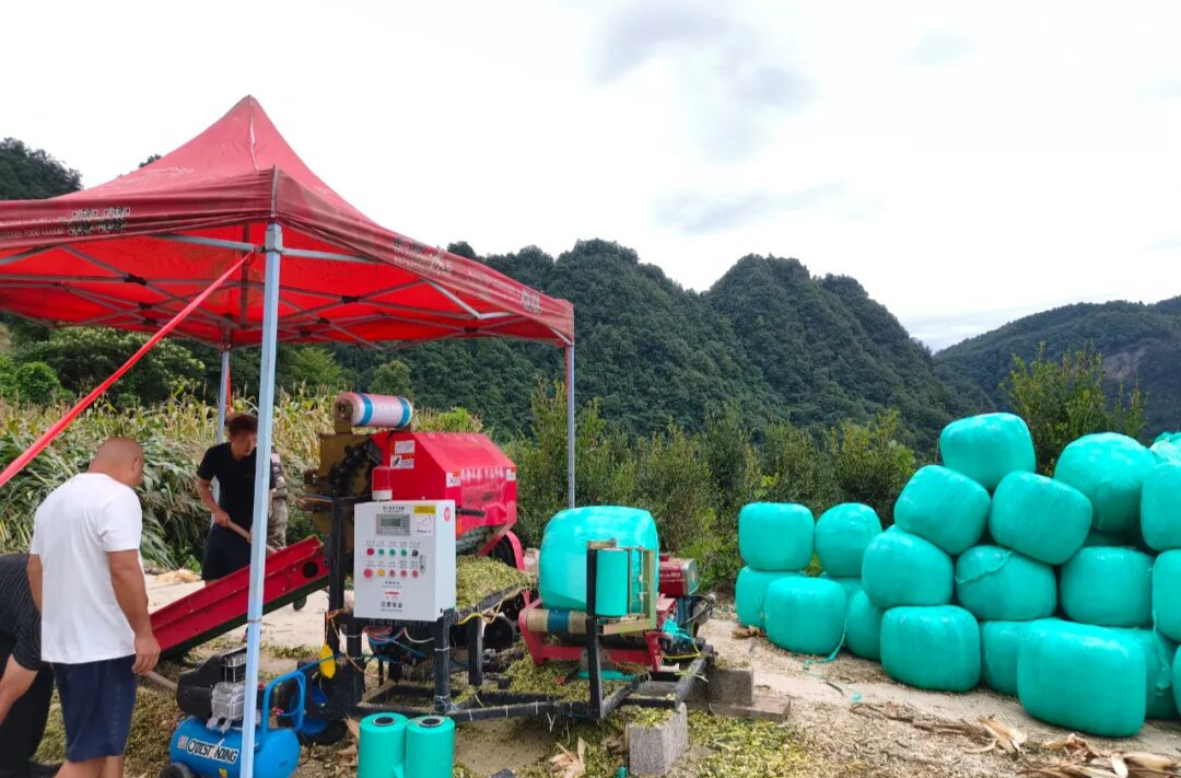 秸秆变废为宝 河口乡富溪村利用“村企联动”盘活秸秆资源