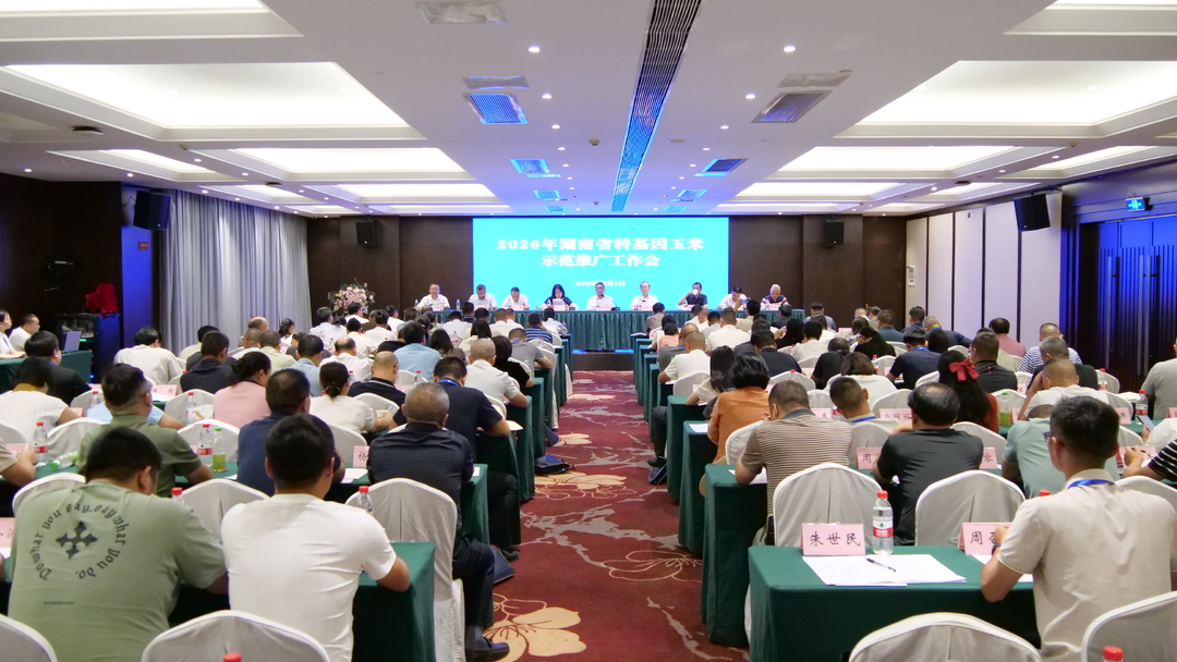 2026年湖南省转基因玉米示范推广工作会在桑植县召开