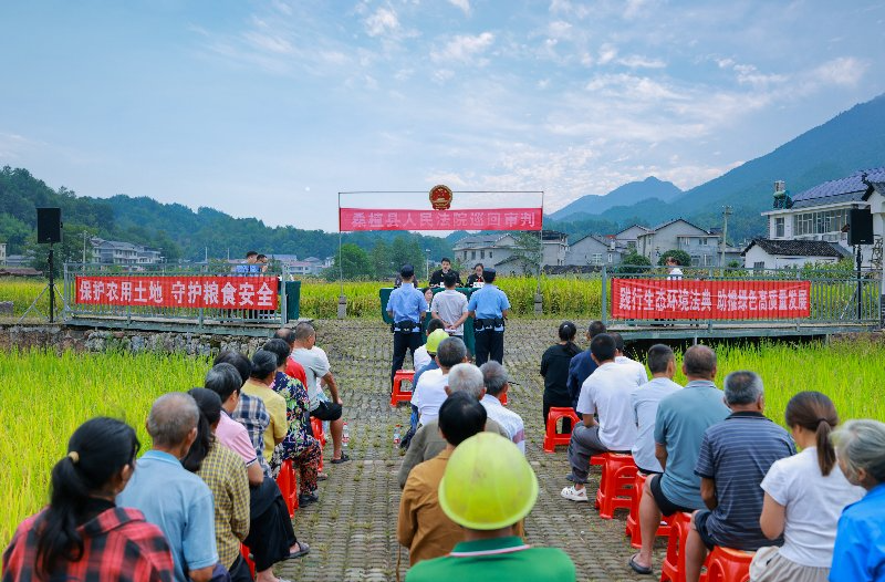 桑植法院巡回审理非法占用农用地案