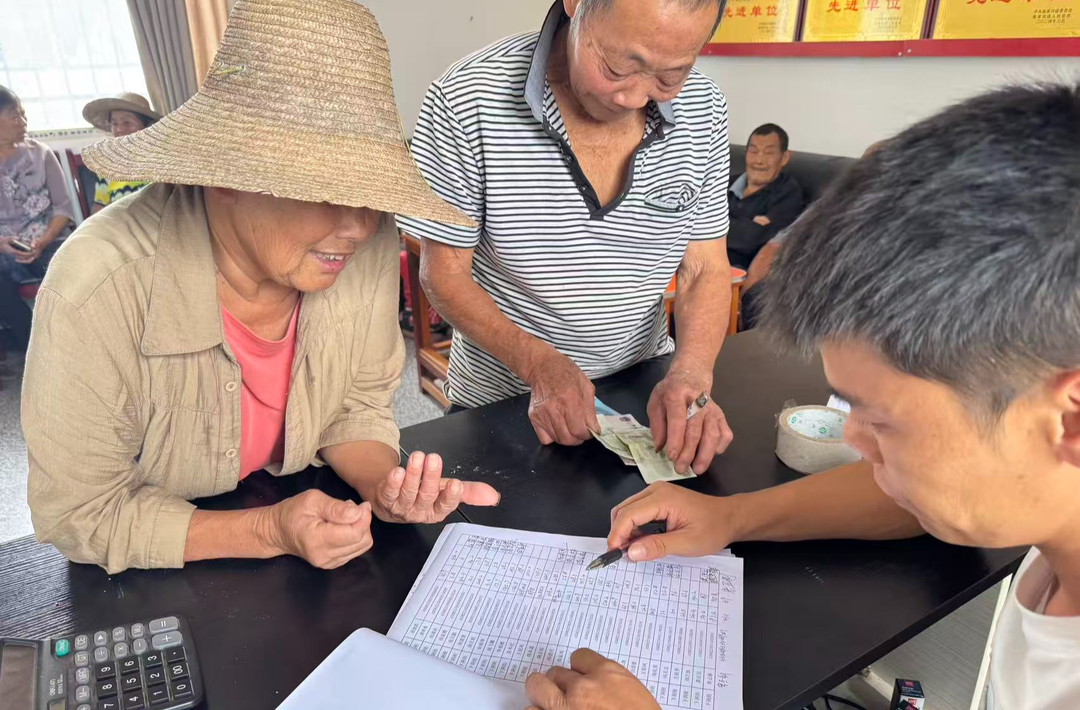 黄蜀葵喜获丰收！陈家河镇下洞街村花开致富助振兴