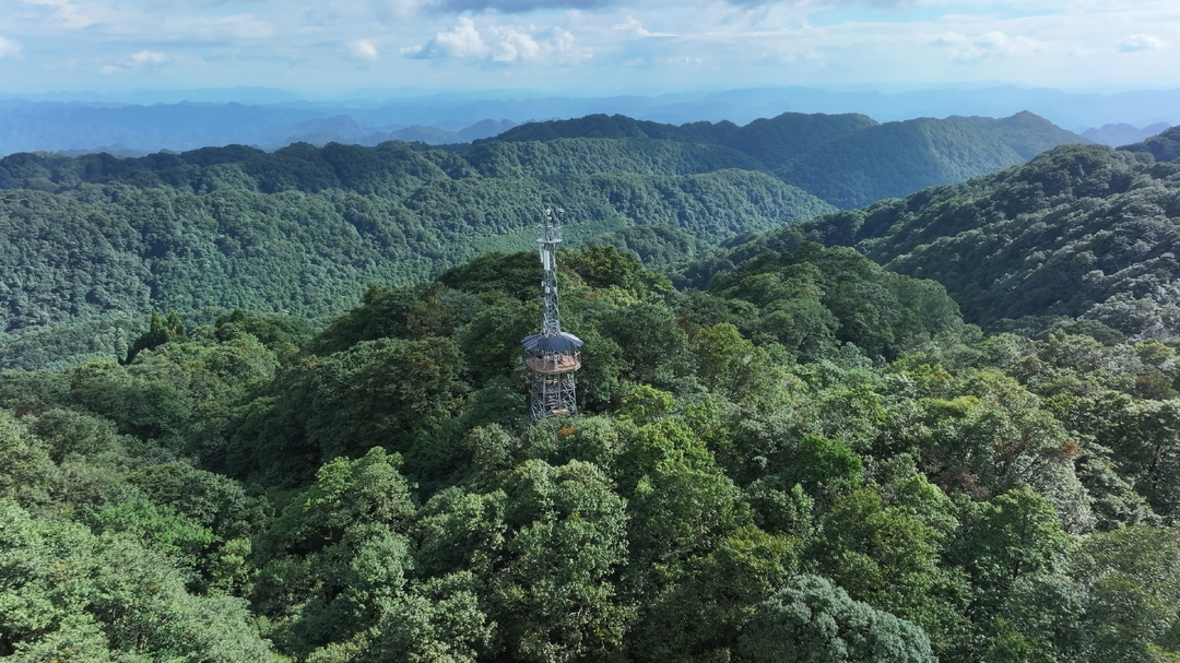 森保节特辑丨守山人记
