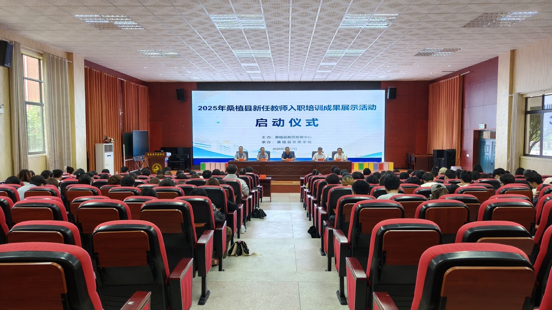 桑植县开展149名新任教师入职培训成果展示活动