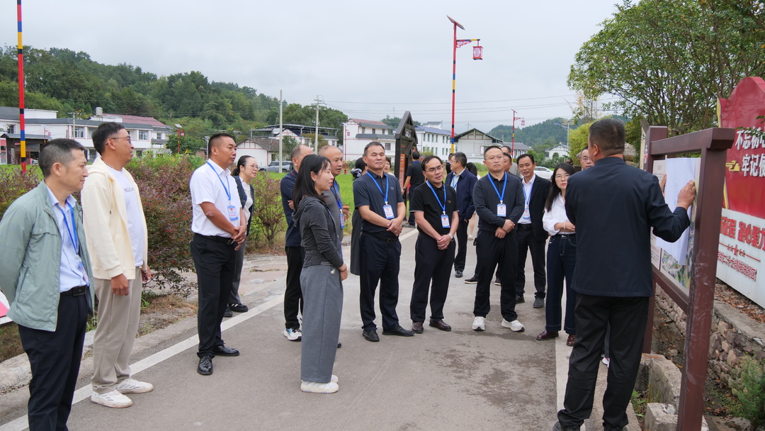 桑植县人大常委会开展人大代表重点建议办理现场视察活动