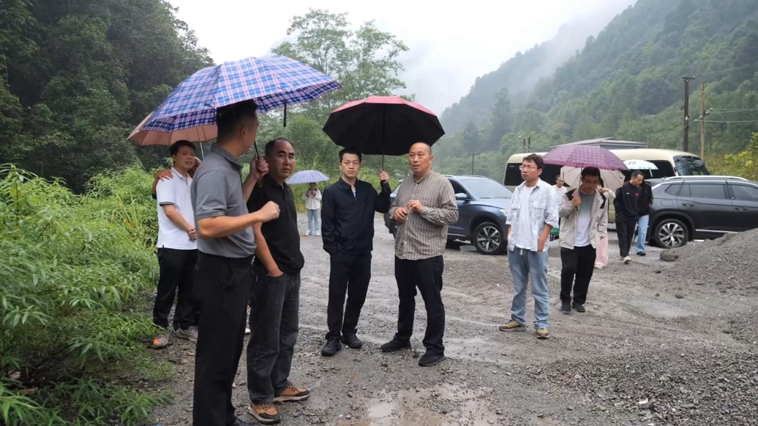 桑植县青年服务团下沉乡镇一线 靠前服务助力基层发展