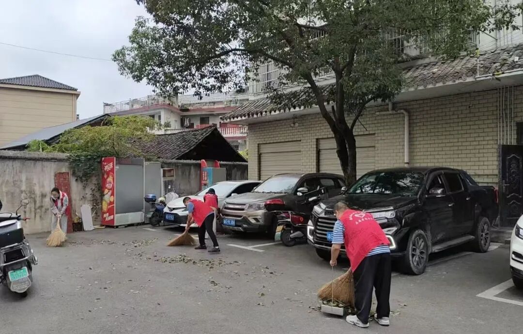 桑植县机关事务服务中心开展实践活动