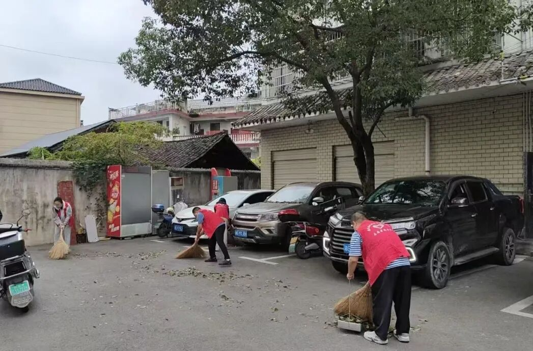 齐发力！桑植县各部门各乡镇开展人居环境整治