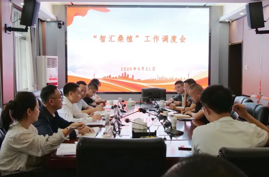 攻坚办丨陈波调研督导“智汇桑植”网络平台意见建议办理工作