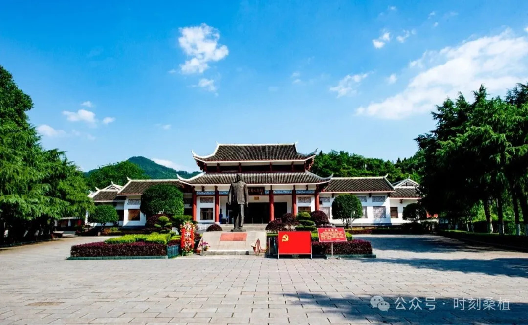 三条线路，三种心动！桑植县发布三条精品旅游线路