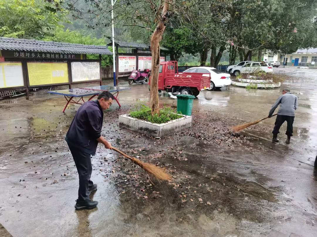 沙塔坪乡大木塘村：党建引领聚合力 环境整治见实效