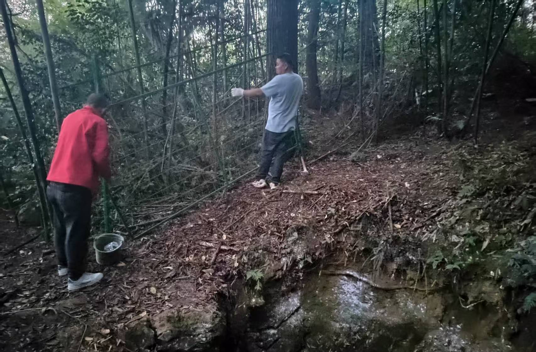 瑞塔铺镇开展生态环境排查整治
