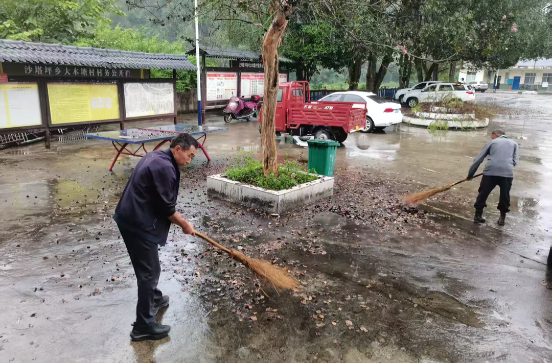 沙塔坪乡大木塘村：党建引领聚合力 环境整治见实效