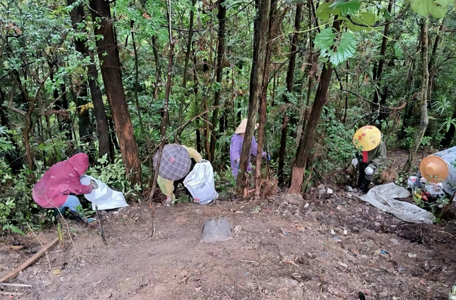 桥自弯镇松柏村：党员集中整治人居环境 赋能和美乡村建设