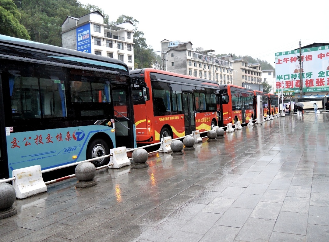 便民出行与文旅服务同步升级!桑植20台新能源公交车正式投用