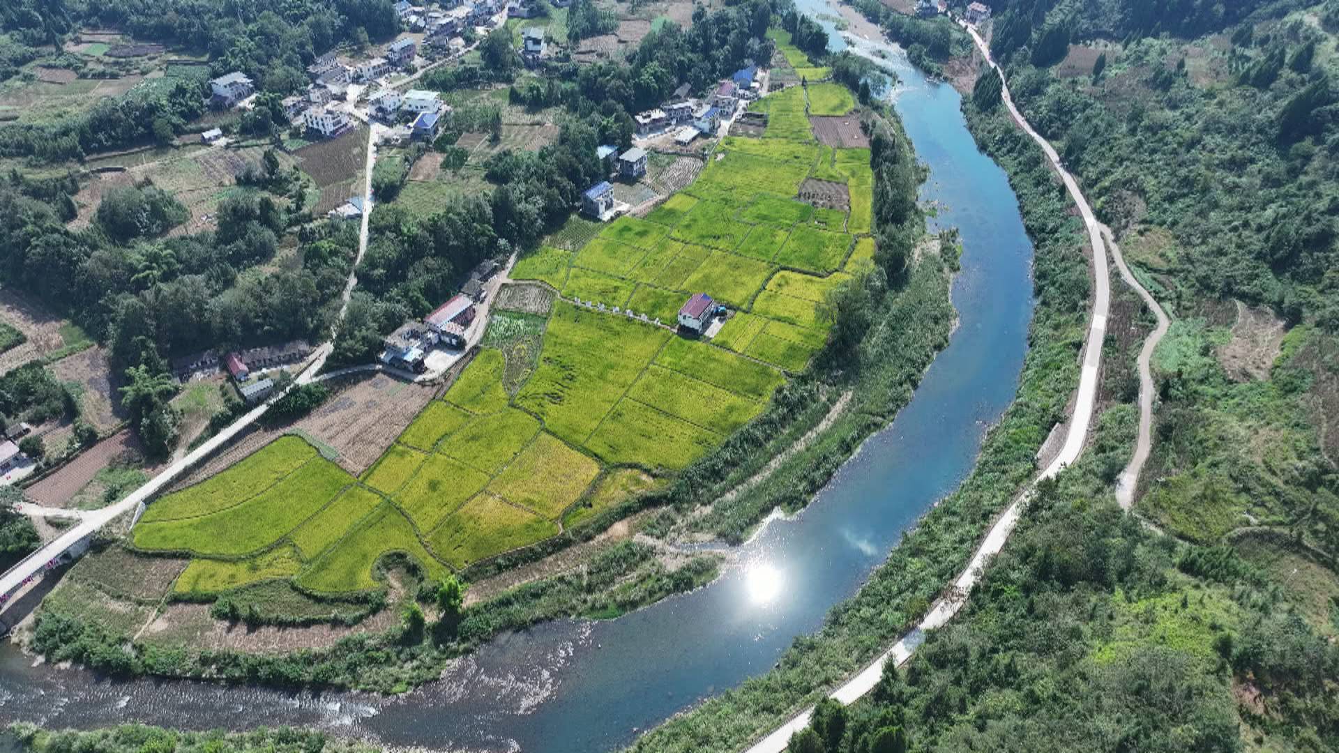 奋进桑植丨蓄水稳民生用水 筑堤守河湖安澜