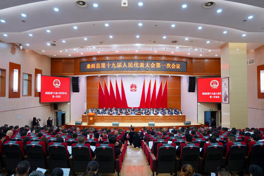 聚焦两会丨桑植县第十九届人民代表大会第一次会议召开第二次全体会议