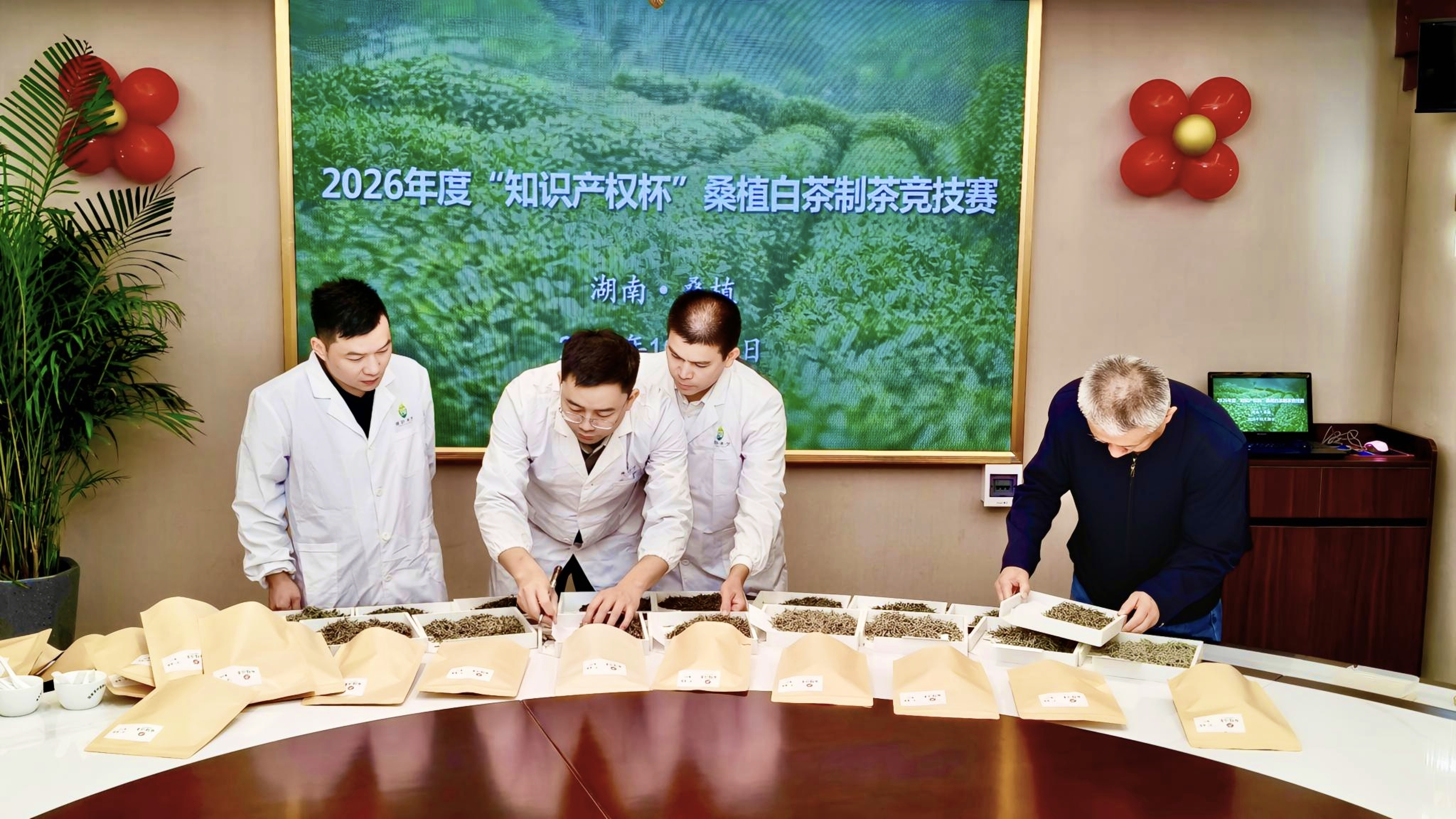 “知识产权杯”桑植白茶贯标培训会暨制茶竞技赛举办