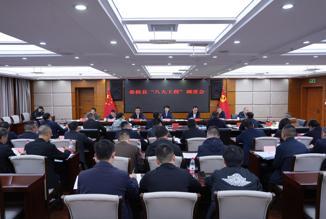 桑植县召开“八大工程”调度会